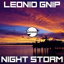 Leonid Gnip - Night Storm Radio Edit