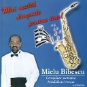 Mielu Bibescu - What A Wonderful World