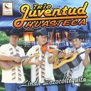 Trio Juventud Huasteca - El Fandanguito