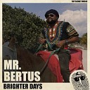 Mr Bertus Top Secret Music - Brighter Days