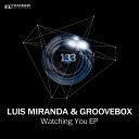 Luis Miranda - Watching You Original Mix