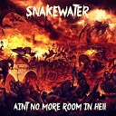 Snakewater - Girl With the Red Dress On