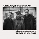 Александр Розенбаум - Утиная охота Slider Magnit Remix
