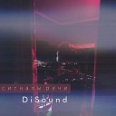 DiSound - Сигналы речи