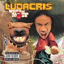 Ludacris feat Mystikal I 20 - Move Bitch