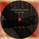 Microslave - Shimmer Original Mix