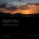Night Sky - Endorphine Original Mix