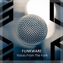 Funkware feat Albert Tempel - Sound Of Love Original Mix