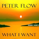 Peter Flow - What I Want Original Radio Mix