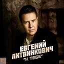 Евгений Литвинкович - Слова остались мне