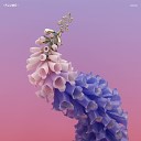 Flume feat Kai - Never be Like You Gill Chang Edit
