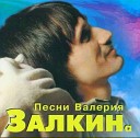 Валерий Залкин - Одинокая ветка сирени РЕМЕЙК NEW…