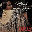 Miguel de Los Reyes - Caballo Cortijero