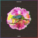 Maui Sam - Shine Original Mix