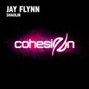 Jay Flynn - Shaolin Original Mix