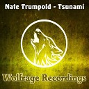 Nate Trumpold - Tsunami Original Mix