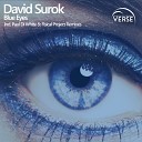 David Surok - Blue Eyes Fisical Project Remix Radio Edit