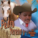 Pedro Yerena Jr y Los Hermanos Bravo - La Vieja Mala