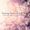 125 Nature Sounds - In the Jungle Soothing Nature Sounds