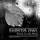 Shreds Owl - Tears in the Rain Original Mix