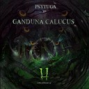 Psytuga - Into The Woods Original Mix