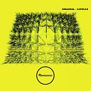 BiNAURAL - Capsule Original Mix