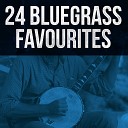 Chris Davis The Arkansas Five - Salty Dog Blues