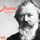 Lullaby Prenatal Band - Brahms Violin Sonata No 3 In D Minor Op 108 I Allegro With Forest…