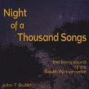 John T Bullitt - Night of a Thousand Songs