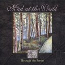 Mad At The World - Lost In The Forest