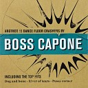 Boss Capone - Big and Fearless Cat