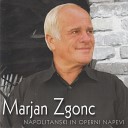 Marjan Zgonc - Arrivederci Roma Slovenian version