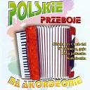 Polskie Przeboje na Akordeonie - W Tym Malym Kwiatku Czerwonym
