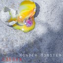 Wonder Monster feat Bineta Saware - Freaky Dancer Radio Edit