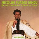 Nicolae Furdui Iancu - Cui Nu I Place Dragostea