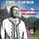Emil Gavri - Jocul B tr nilor Din Chelin a