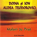 Ion si Doina Aldea Teodorovici - Indiferen a
