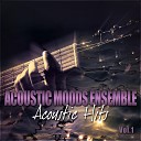 Acoustic Moods Ensemble - Stranger on the Shore