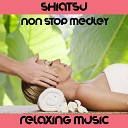 Fly Project - Shiatsu Medley The Tao of Love The Will of the Wind Madame Curie Camilla Mountain Dust Eric s Theme I Hear You Now…