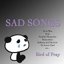 Bird of Pray - Pain