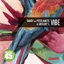 Dandy aka Peter Makto Gregory S - Vibe Minimal Rockets Remix