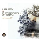 Liquitek Electrosoul System - Digital Mystery Tour Original Mix
