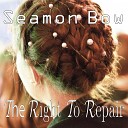 Seamon Bow - The Right To Repair