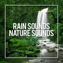 Rain Sounds Nature Sounds - Thunder Ambient Loopable Original Mix