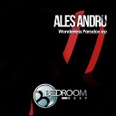 Ales Andru - Wonderless Paradox Original Mix