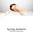 Restful Sleep Music Collection - Clarity