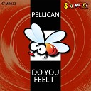 Pellican - Do You Feel It Original Mix