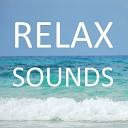Relax Sounds - Шум моря и чайки