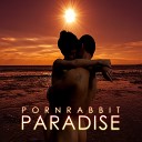 Pornrabbit - Paradise Radio Edit