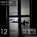 Felix Cage - Love Again Original Mix